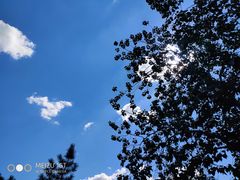 -石家庄市动物园