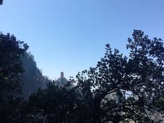 -塔云山