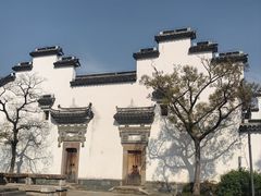 -广富林郊野公园