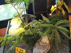 -红鼎坊·老成都火锅(新南门店)