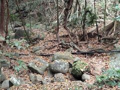 -七仙岭温泉国家森林公园