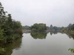 -白鹭湾湿地公园