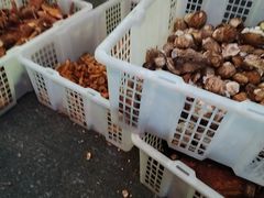 -小龙翻大江文化火锅(太古里店)