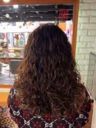 -T.1 hair salon烫染接发
