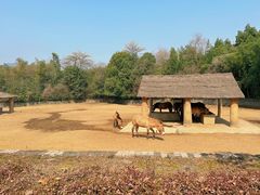 -杭州野生动物世界