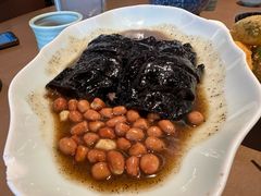 -岭南站NOVA