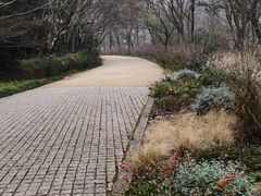 -西湖风景区-江洋畈生态公园
