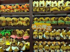 -首开·龙湖成都西宸天街