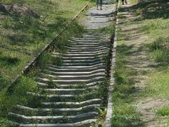 -永定河休闲森林公园