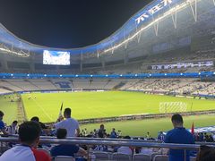 -八万人体育馆-外场足球场