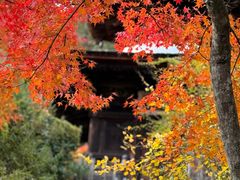 -常寂光寺