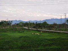 -秦岭风景区