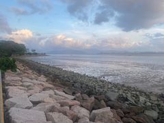 -深圳湾公园(南山区)