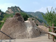 -大岭沟猕猴桃谷风景区