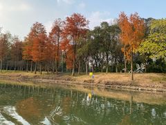 -中国湿地博物馆