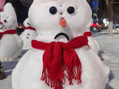 -沈阳奥体冰雪嘉年华