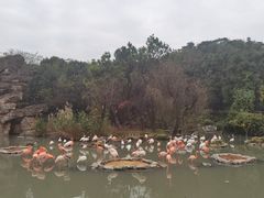 -宁波野生动物园
