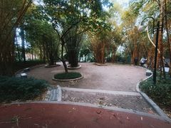 -晓港公园