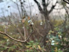 -苏州太湖国家湿地公园