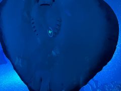 -珠海长隆海洋王国