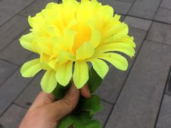 -侵华日军南京大屠杀遇难同胞纪念馆