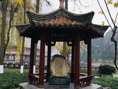-温江公园