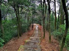 -西湖风景区十里琅珰-五云山