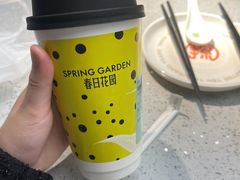 茉莉奶白-茉莉奶白