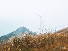 -东白山