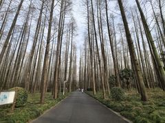 -上海怡沁园度假酒店