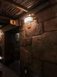 -翱翔飞越地平线