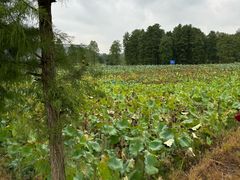 -溪口-滕头旅游景区