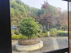 -颂福楼·南京菜(定淮门店)