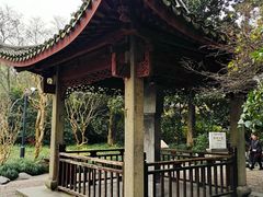 -西湖外事游船(花港观鱼码头)