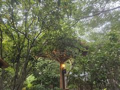 -深业半汤御泉庄温泉