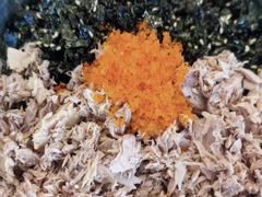 -HONGA HONGA雄家(曹路店)