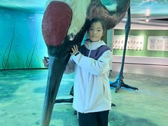 -盐城丹顶鹤湿地生态旅游区