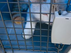 -美联众合动物医院·24h京西诊疗中心