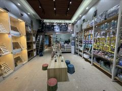 -集宠猫柠宠物生活馆