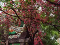 -长鹿旅游休博园