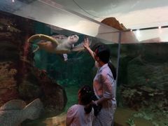 -西海国立公园九十九岛水族馆