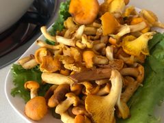 -爱膳菌锅锅(阳南店)