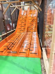 -卡通尼·Safari非洲探索乐园·生日会(金桥国际商业广场店)