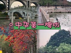 -凤城·食都