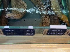 -欧记·龙城港(欣都店)