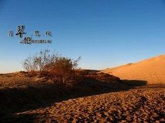 -翡翠岛
