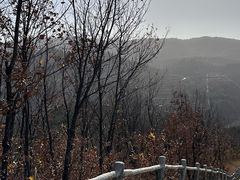 -环翠峪风景区
