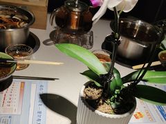 -一叶一世界•素食餐厅(环球中心店)