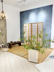 -星宝贝儿童摄影