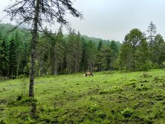 -硗碛藏寨·神木垒景区